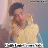 About VGajjb Lage Cemra Valo Song